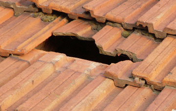 roof repair Saintfield, Down